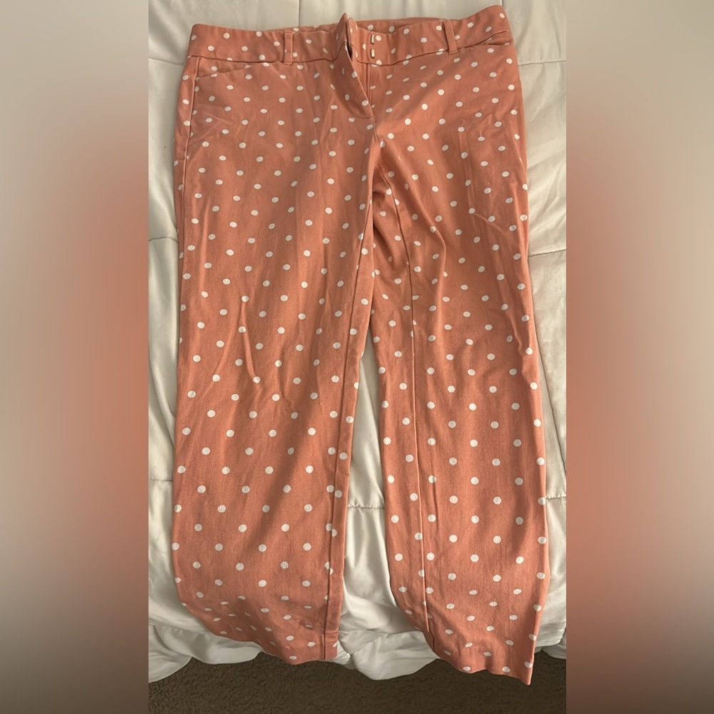 New York & Company Pant